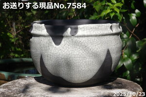 Iׂ@q }bgѓ 7 TiT[rX My Aؔ @yR쑐 A T{e ~͔ ʎc AKx 򍪐Az