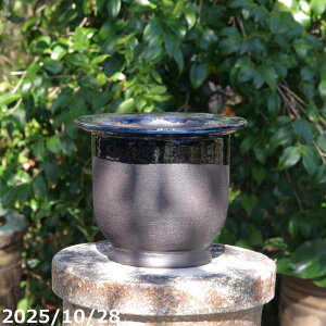 yi_No.7655zqց@㉺|@т˂iNjω|@8@TiT[rX@My Aؔ @yR쑐 A T{e ~͔ Ԗ؎ؕc ʎc AK