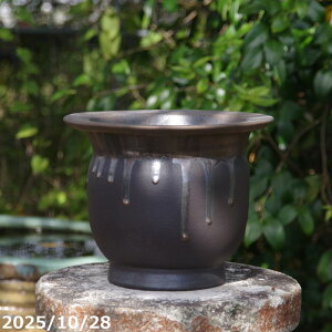 yi_No.7667zʁ@^ځ@т˂iNjω|@8@TiT[rX@My Aؔ @yR쑐 A T{e ~͔ Ԗ؎ؕc ʎc AKx 򍪐A