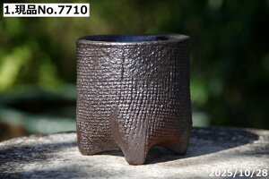 yő50%OFFN[|sIzIׂ@Â(^^) q 27()@2.5iOa7.5cm 8.5cmjTiT[rX@My Aؔ@yR쑐 A T{e ~͔ ʎc AK