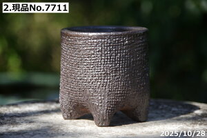 Iׂ@Â(^^) q 27()@2.5iOa7.5cm 8.5cmjTiT[rX@My Aؔ@yR쑐 A T{e ~͔ ʎc AKx 򍪐Az