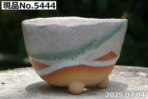 yő50%OFFN[|sIzMy Aؔ @Iׂ@Oc@4iOa11.5cm 7.5cmjTiT[rXyR쑐 A T{e ~͔ Ԗ؎ؕc ʎc AKx 򍪐A