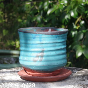 pL[g|bg 01u[ 4 + M Zbg@TiT[rX@My Aؔ yK[fjO ϗtA A z