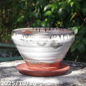 pL[g|bg 05 zCg 5.5 + M Zbg TiT[rX@My Aؔ yK[fjO ϗtA A z