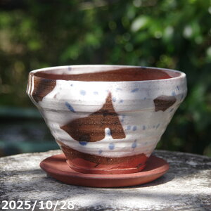 pL[g|bg 05 u[hbg 5.5 + M Zbg TiT[rX@My Aؔ yK[fjO ϗtA A z