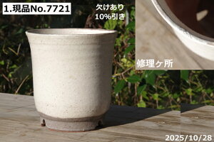 yLYL̕ɂ͊zIׂ@т˂(N)@@[ 4.5iOa14.5cm 14cmj TiT[rX@My Aؔ @yR쑐 A T{e ~͔ ʎc 