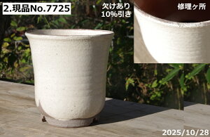 yLYL̕ɂ͊zIׂ@т˂(N)@@[ 4.5iOa14.5cm 14cmj TiT[rX@My Aؔ @yR쑐 A T{e ~͔ ʎc 