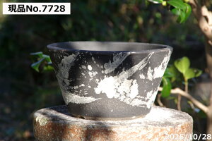 Iׂ т˂(N)  8iOa24cm 13cmj TiT[rX@My Aؔ yR쑐 A T{e ~͔ ʎc AKx 򍪐A AfjE R[fbNX pL|