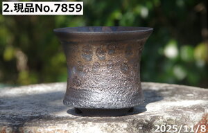 Iׂ т˂(N) q [\ 3 TiT[rX@My Aؔ yR쑐 A T{e ~͔ ʎc AKx 򍪐Az