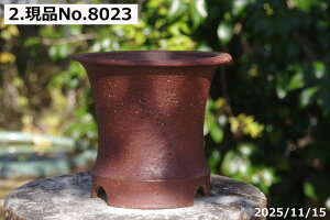 Iׂ Fq Ig(N) 6.5iOa19.5cm 17.5cmjTiT[rX@My Aؔ@yR쑐 A T{e ~͔ ʎc AKx 򍪐Az