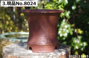 Iׂ Fq Ig(N) 6.5iOa19.5cm 17.5cmjTiT[rX@My Aؔ@yR쑐 A T{e ~͔ ʎc AKx 򍪐Az