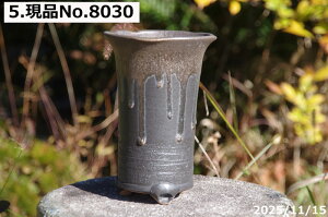 Iׂ@y ʃr[h@ 4.5iOa13-13.3cm 20.5cmjTiT[rX@My Aؔ @yR쑐 A T{e ~͔ Ԗ؎ؕc ʎc AKx 򍪐A A