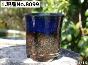 y2zIׂ@q㉺|  4iOa11.6cm 12.2cmjMy Aؔ @TiT[rXyR쑐 A T{e ~͔ ʎc AKx 򍪐Az