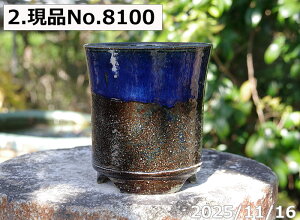 y2zIׂ@q㉺|  4iOa11.6cm 12.2cmjMy Aؔ @TiT[rXyR쑐 A T{e ~͔ ʎc AKx 򍪐Az