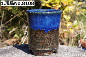 y2zIׂ@q㉺| 3.5iOa10cm 11cmjMy Aؔ @TiT[rXyR쑐 A T{e ~͔ ʎc AKx 򍪐Az