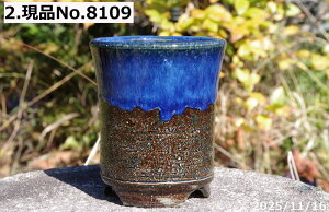 y2zIׂ@q㉺| 3.5iOa10cm 11cmjMy Aؔ @TiT[rXyR쑐 A T{e ~͔ ʎc AKx 򍪐Az