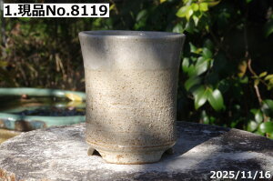 y2zIׂ@ց@㉺| 3.5iOa10cm 11cmjMy Aؔ @TiT[rXyR쑐 A T{e ~͔ ʎc AKx 򍪐Az