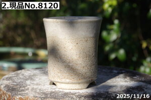 y2zIׂ@ց@㉺| 3.5iOa10cm 11cmjMy Aؔ @TiT[rXyR쑐 A T{e ~͔ ʎc AKx 򍪐Az