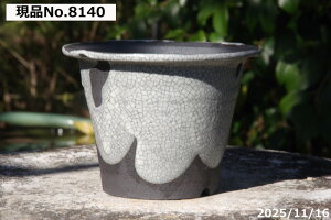 yLYL̕ɂ͊zIׂ т˂iNjq }bgѓiEj4 TiT[rX My Aؔ @yR쑐 A T{e ~͔ ʎc AKx 