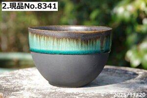 y7%OFFN[|ΏہI`12/15zIׂ ㉺| KX@@۔ 4(Oa12.7cm 8.5cm) TiT[rX@My Aؔ @yR쑐 A T{e ~͔ ʎc AKx 