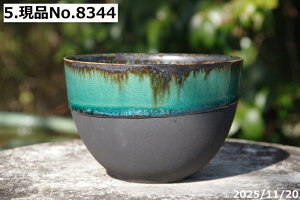 Iׂ ㉺| KX@@۔ 4(Oa12.7cm 8.5cm) TiT[rX@My Aؔ @yR쑐 A T{e ~͔ ʎc AKx 򍪐Az