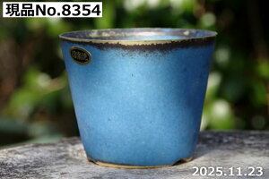 y7%OFFN[|ΏہI`12/15zIׂ gRu[ 3.3iOa10cm 8cmjTiT[rX My Aؔ yR쑐 A T{e ~͔ ʎc AKx 򍪐Az