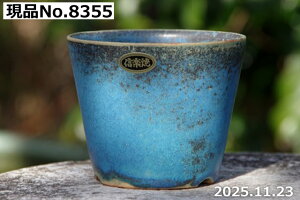 �y�ő�50%OFF�N�[�|�����s���I�z�I�ׂ� �g���R�u���[ 3.3���i�O�a10cm ����8cm�j�T�i�T�[�r�X �M�y�� �A�ؔ� ����y�R�쑐�� �����A���� �T�{�e���� �~�͔� �ʎ��c �A�K�x �򍪐A���z