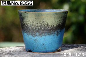 Iׂ gRu[ 3.3iOa10cm 8cmjTiT[rX My Aؔ yR쑐 A T{e ~͔ ʎc AKx 򍪐Az