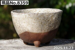 �y�ő�50%OFF�N�[�|�����s���I�z�M�y�� �A�ؔ� ����@�I�ׂ� �S���O�c�� 4���i�O�a11.5cm ����7.5cm�j�T�i�T�[�r�X�y�R�쑐�� �����A���� �T�{�e���� �~�͔� �Ԗ؎��ؕc �ʎ��c �A�K�x �򍪐A�� 