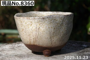 My Aؔ @Iׂ SOc 4iOa11.5cm 7.5cmjTiT[rXyR쑐 A T{e ~͔ Ԗ؎ؕc ʎc AKx 򍪐A A rU[vc 