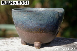 My Aؔ @Iׂ qOc 4ia11.5cm 7.5cmjyR쑐 A T{e ~͔ Ԗ؎ؕc ʎc AKx 򍪐A A rU[vc ȐA 