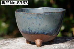 My Aؔ @Iׂ qOc 4ia11.5cm 7.5cmjyR쑐 A T{e ~͔ Ԗ؎ؕc ʎc AKx 򍪐A A rU[vc ȐA 