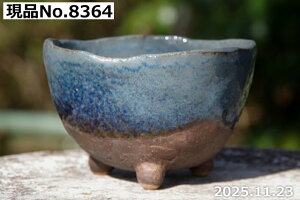 My Aؔ @Iׂ qOc 4ia11.5cm 7.5cmjyR쑐 A T{e ~͔ Ԗ؎ؕc ʎc AKx 򍪐A A rU[vc ȐA 