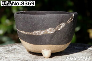 yő50%OFFN[|sIzMy Aؔ @Iׂ DOc 4iOa11.5cm 7.5cmjTiT[rXyR쑐 A T{e ~͔ Ԗ؎ؕc ʎc AKx 򍪐A 