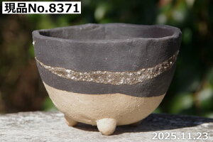 �y�ő�50%OFF�N�[�|�����s���I�z�M�y�� �A�ؔ� ����@�I�ׂ� ���D�O�c�� 4���i�O�a11.5cm ����7.5cm�j�T�i�T�[�r�X�y�R�쑐�� �����A���� �T�{�e���� �~�͔� �Ԗ؎��ؕc �ʎ��c �A�K�x �򍪐A�� 