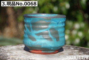 �y�ő�50%OFF�N�[�|�����s���I�z�I�ׂ�@�p���L�[�g�|�b�g ������01�u���[ 4�� + ��M �Z�b�g�@�T�i�T�[�r�X�@�M�y�� �A�ؔ��@�v���X�K�[�f�� �y�K�[�f�j���O �ϗt�A�� �����A�� �z