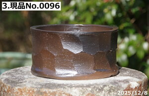 �y�ő�50%OFF�N�[�|�����s���I�z�����q ����19�@�I�ׂ� ��Â��� ����(��) 6��(�O�a18cm ����9cm) �T�i�T�[�r�X�@�M�y�� �A�ؔ� ���� �y�R�쑐�� �����A���� �T�{�e���� �~�͔� �ʎ��c �A�K�x ��