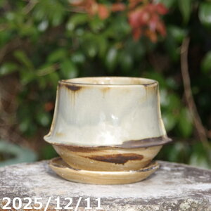 �~�j�X���� UFOEX�r�[�h���@4.5�� + ��M �Z�b�g �T�i�T�[�r�X�@�M�y�� �A�ؔ��@�v���X�K�[�f��