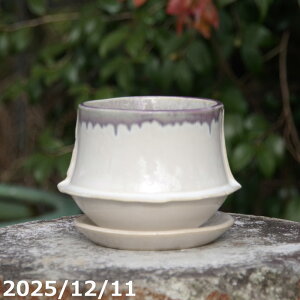 �~�j�X���� UFO �V���p�[�v���@4.5�� + ��M �Z�b�g �T�i�T�[�r�X�@�M�y�� �A�ؔ��@�v���X�K�[�f��