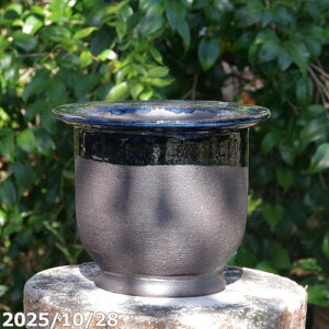 �y���i��_��No.7655�z���q�ց@���㉺�|�����@��т˂�i���N�������j�ω��|���@8���@�T�i�T�[�r�X�@�M�y�� �A�ؔ� ����@�y�R�쑐�� �����A���� �T�{�e���� �~�͔� �Ԗ؎��ؕc �ʎ��c �A�K