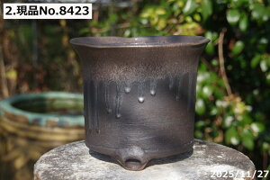 �y�ő�50%OFF�N�[�|�����s���I�z�I�ׂ� �\���Ђ˂���ʃr�[�h���� 6.5���i�O�a20cm ����18cm�j�T�i�T�[�r�X�@�M�y�� �A�ؔ��y�R�쑐�� �����A���� �T�{�e���� �~�͔� �ʎ��c �A�K�x �򍪐A���z