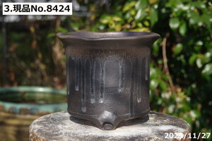 y7%OFFN[|ΏہI`12/15zIׂ \Ђ˂ʃr[h 6.5iOa20cm 18cmjTiT[rX@My AؔyR쑐 A T{e ~͔ ʎc AKx 򍪐Az