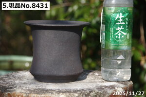 y7%OFFN[|ΏہI`12/15zIׂ@S(q) [\(L) 5 TiT[rX@My Aؔ @yR쑐 A T{e ~͔ ʎc AKx 򍪐Az