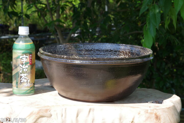 ブランド激安セール会場 現品一点物 No 3506 信楽焼 睡蓮鉢 手びねり 緑窯変 カット浅水鉢 9号 お好きな水草 メダカ5匹 死着保証無 プレゼント Champagne Dissaux Brochot Com