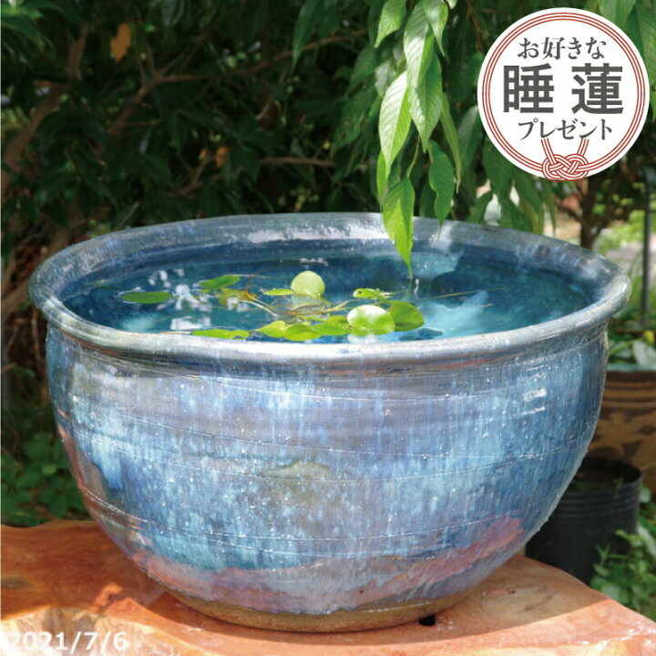 楽天市場】【現品一点物 No.6308】信楽焼 睡蓮鉢 大型 手びねり 青 