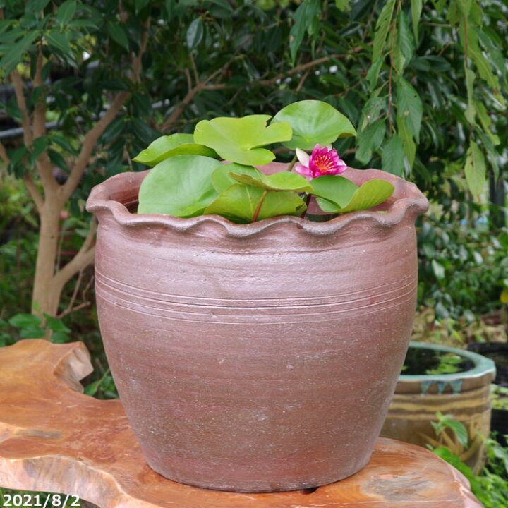 楽天市場】アジアンテイスト南蛮焼 輪花深鉢 (大) 外径50cm ＋お好きな 