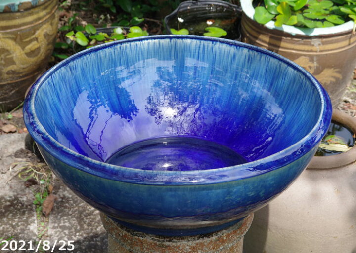 楽天市場】信楽焼 睡蓮鉢 陶器 大型 青ガラス浅型水鉢 19号 （外径58cm 