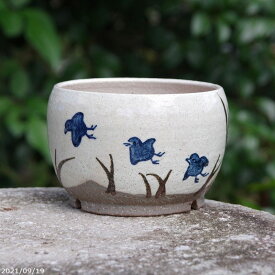 信楽焼 植木鉢 陶器　手びねり(ロクロ引き) 粉引絵付（千鳥） 3.5号（外径11.5cm 高さ8cm）【山野草鉢 多肉植物鉢 サボテン鉢 盆栽鉢 花木樹木苗　果樹苗　アガベ　塊根植物　珍奇植物　ビザールプランツ　蘭ラン科植物 観葉植物】