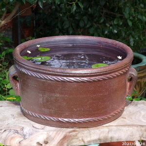 yyΉzAWAeCXg؏ā@@ 15iOa45cm 23.0cm e25.5LjyAВ̂ߓszyz@y@ ԃnX @ nX XC _Jz