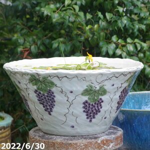 yi_No.4461z My @  `  12 BiiXj{DȐ {_J5Ciۏؖjv[gyzyZbg  _J  nX 